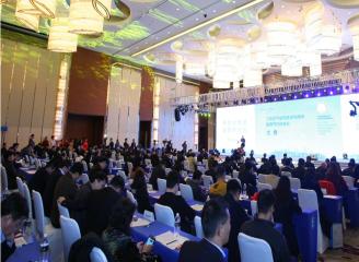 ������ɫ���������ߴ����ݲ�ҵ��չ...